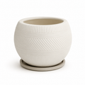 Roma Pot