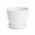 Nova Pot