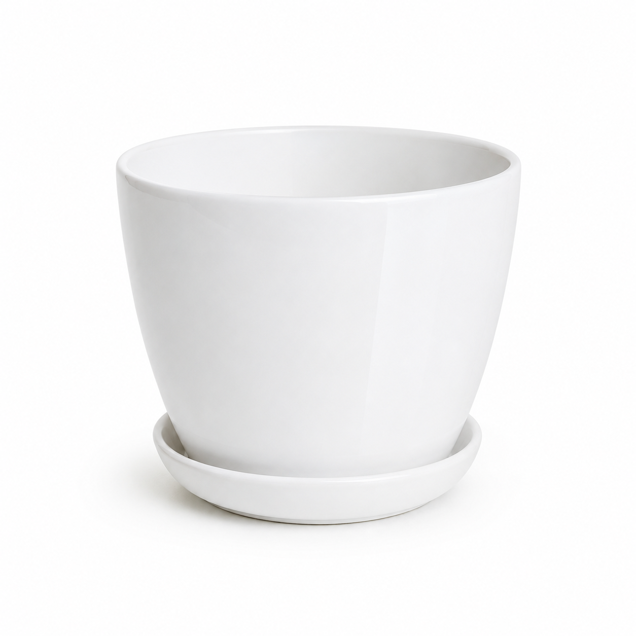 Nova Pot