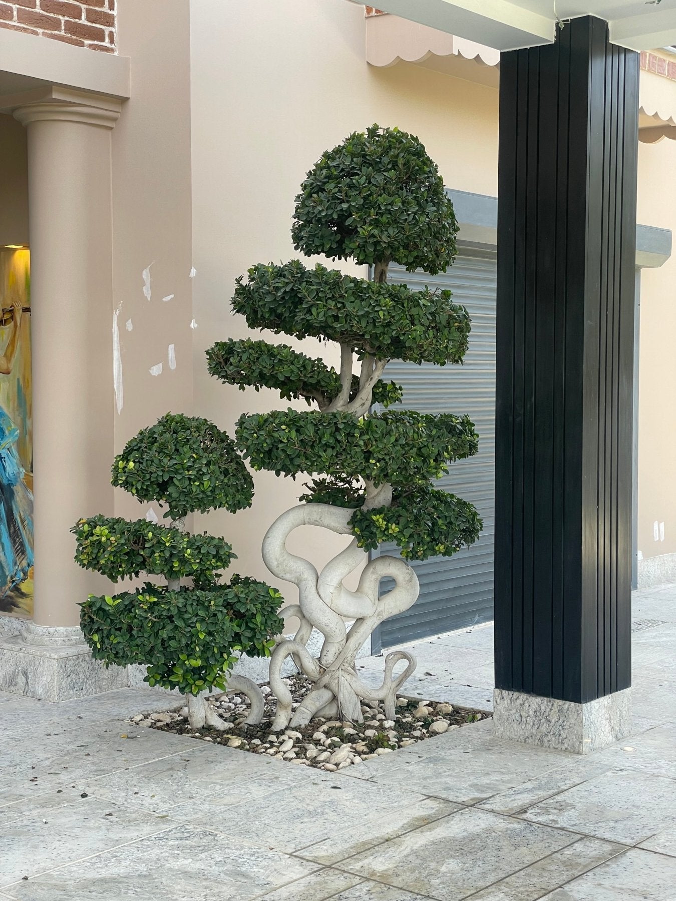 Ancient Bonsai - Green Mist