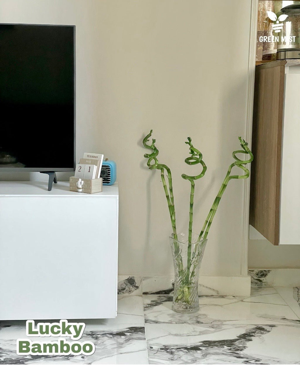 Bamboo - بامبو مائي - Green Mist