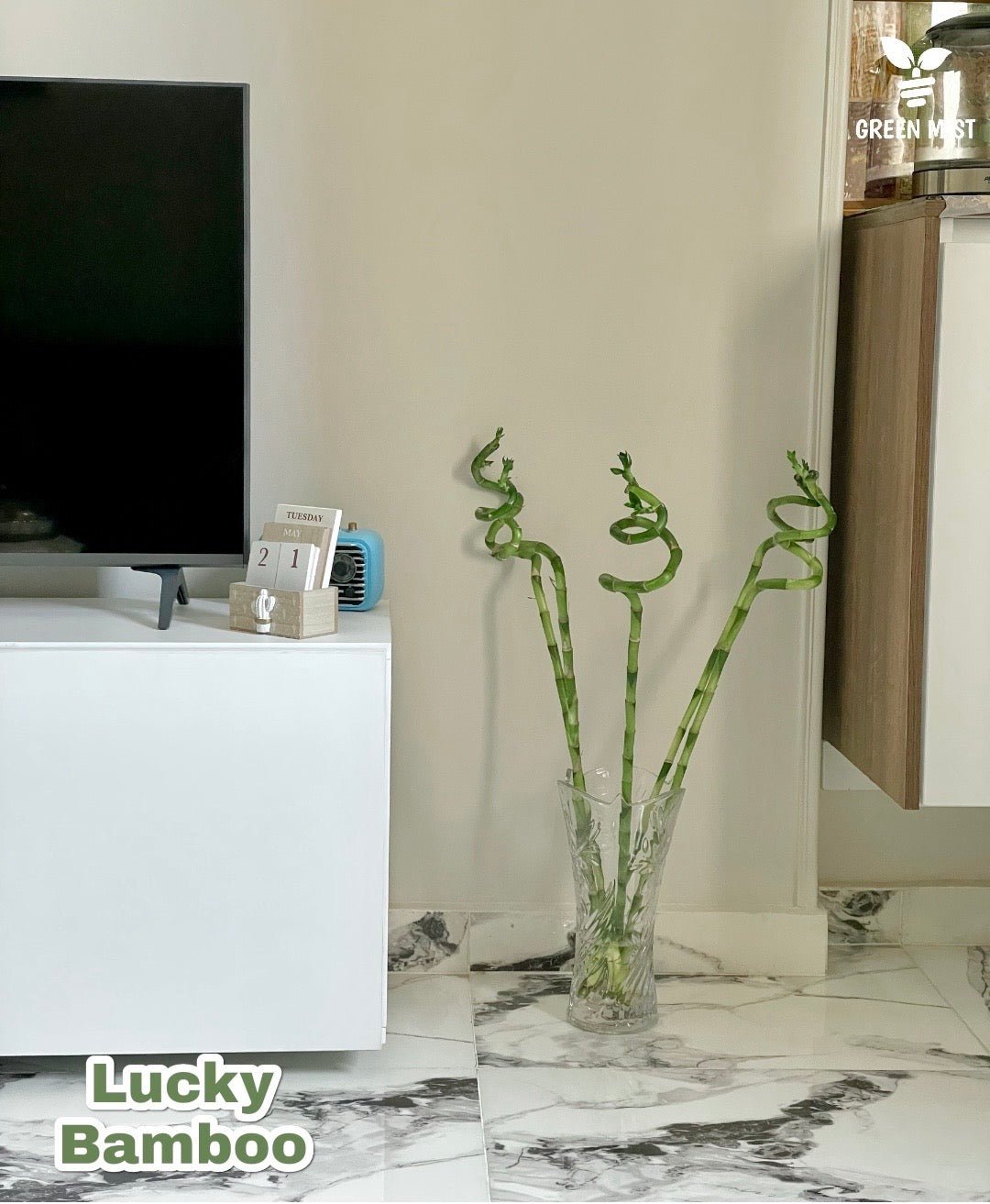Bamboo - بامبو مائي - Green Mist