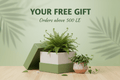 GIFT - Green Mist
