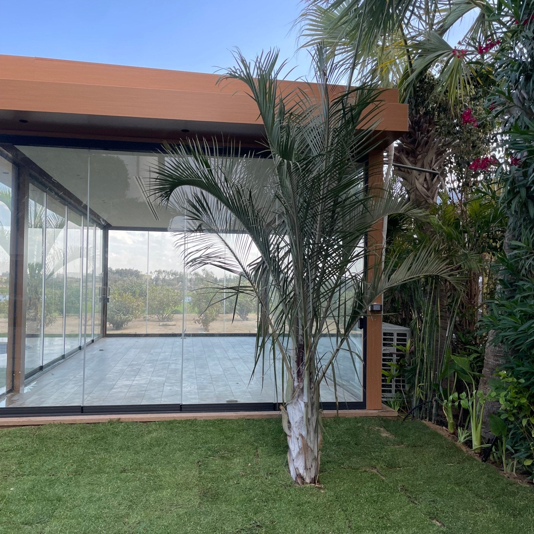 Triangle Palm - Green Mist