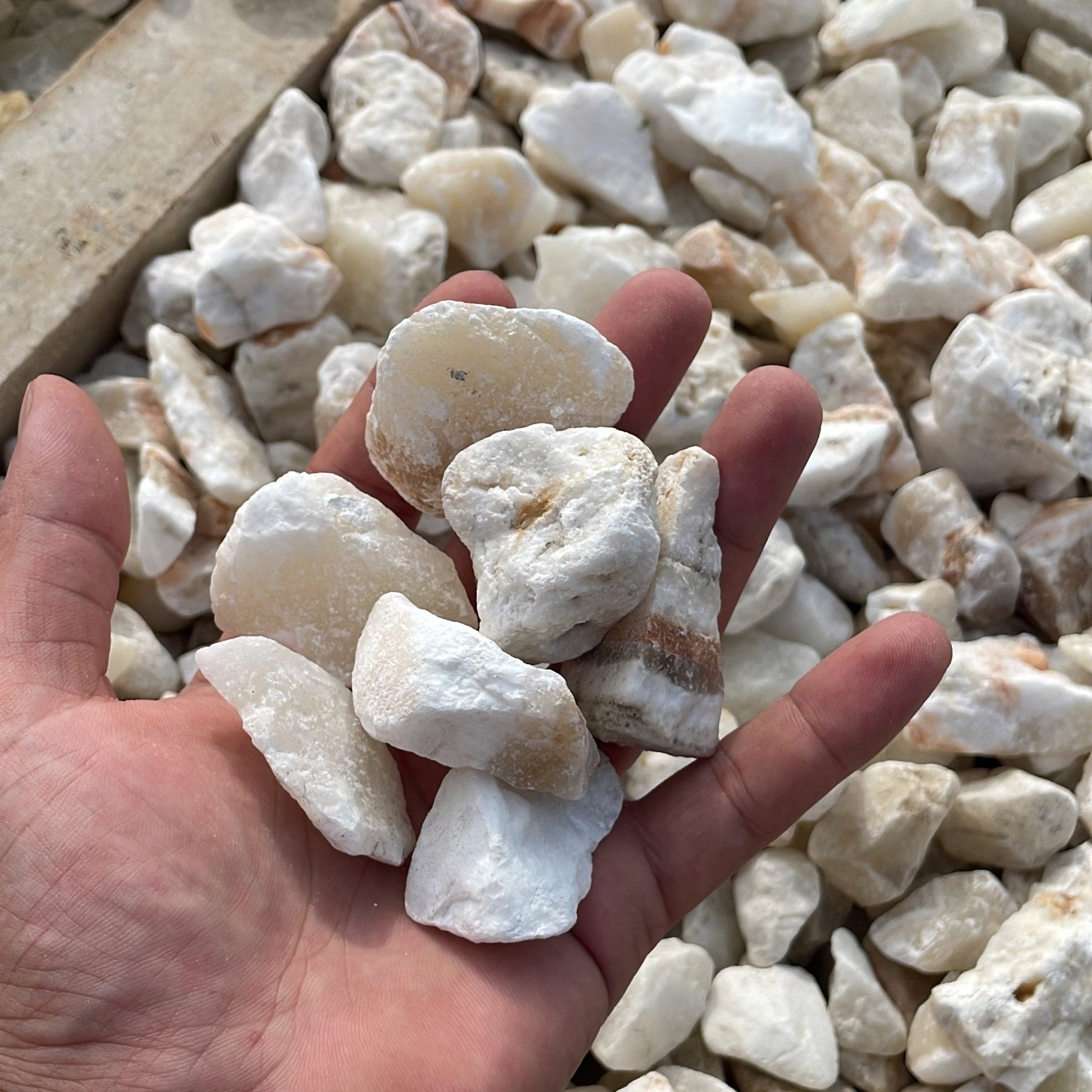 زلط الوان - Green Mist