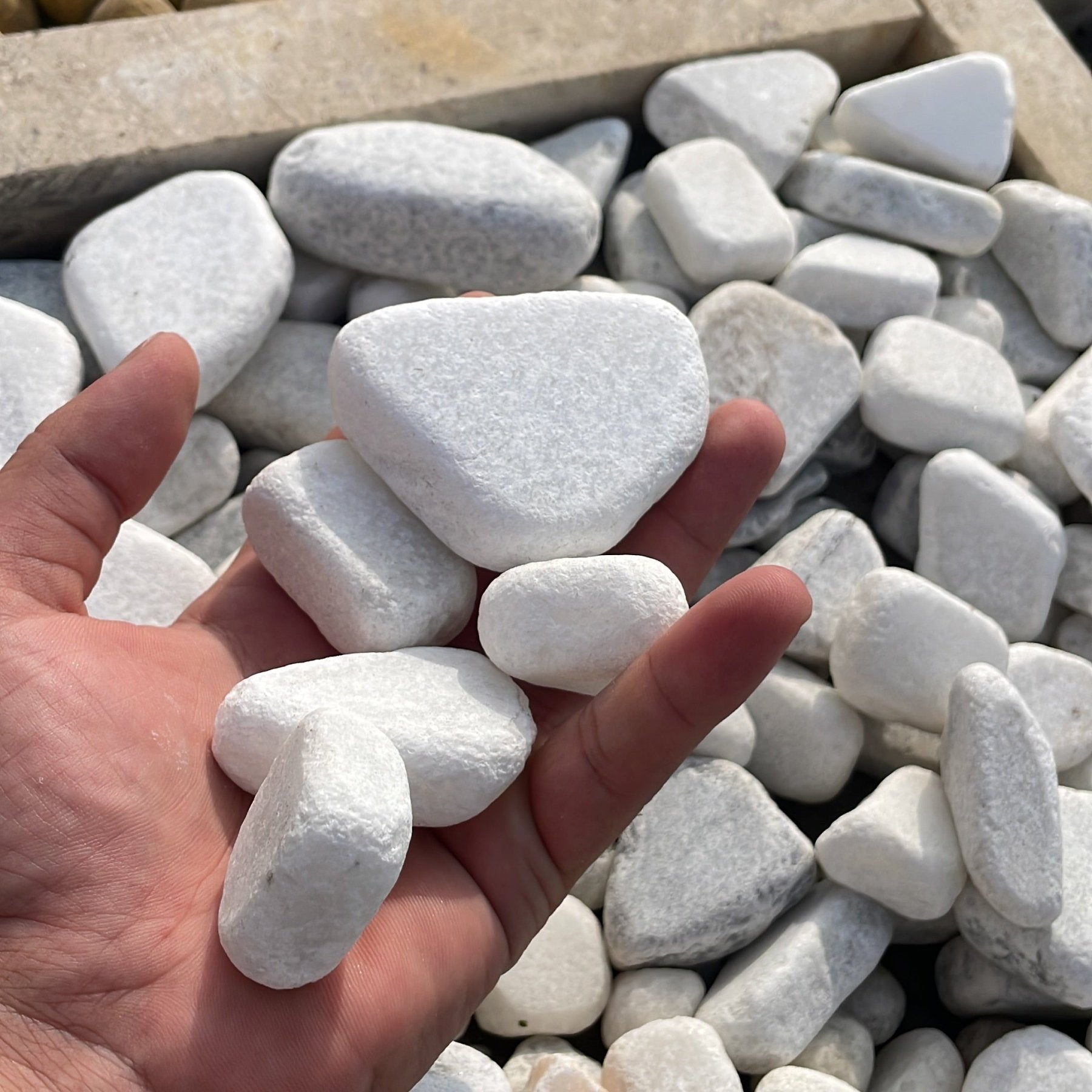 زلط الوان - Green Mist