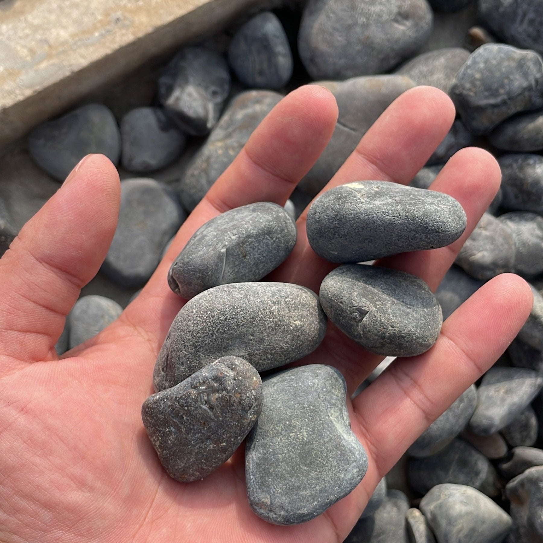 زلط الوان - Green Mist